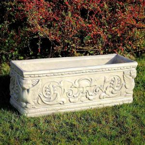 Planter Febe