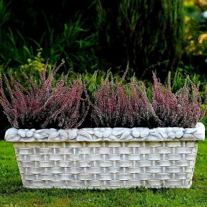 Planter Trog 2